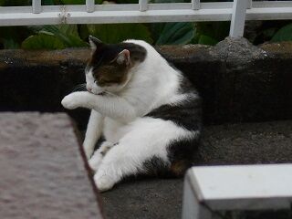 10月2日（16-5）仮