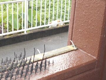 8月28日（133）仮