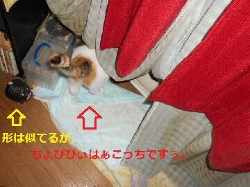 9月4日（124）仮