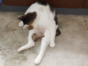 9月18日（11-3）仮