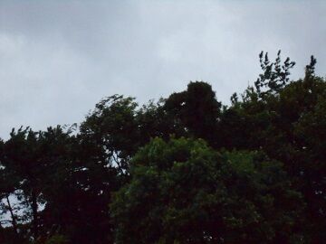 10月12日（11）仮