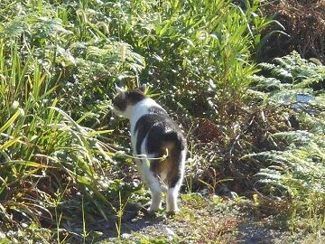 9月30日（7-18）仮