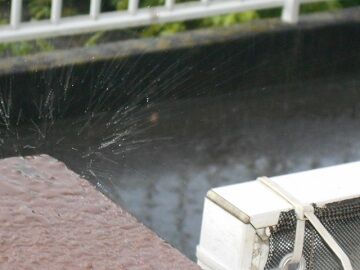 8月14日（23）仮