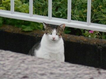 8月24日（46）仮