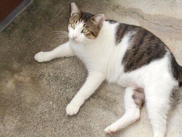 9月15日（7-3）仮