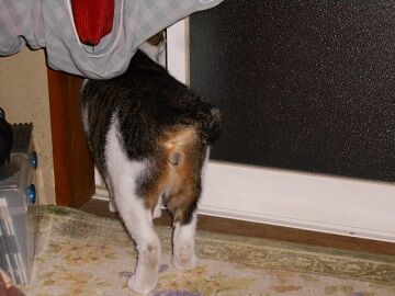 10月7日（22-11）仮