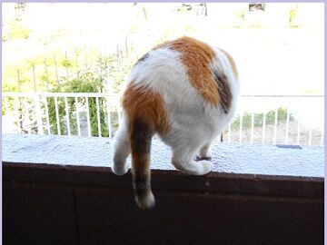 6月13日（31）仮