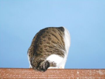 12月4日(1)