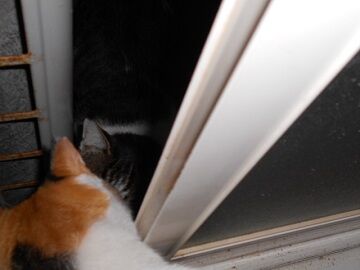 10月11日（19-2）仮