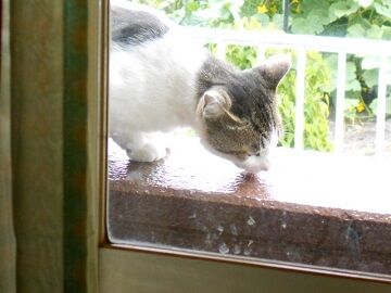 6月24日（19）仮