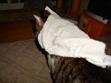 5月18日（107）仮