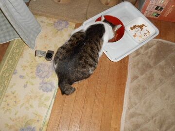 9月8日（19-7）仮