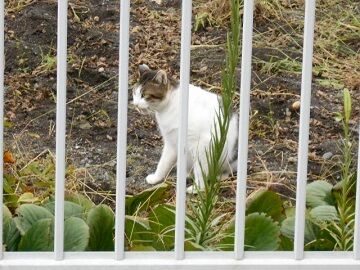 9月27日（7-9）仮