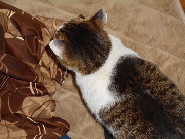 3月17日（18）仮