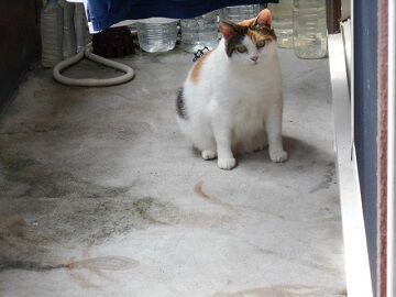 9月25日（9-3）仮