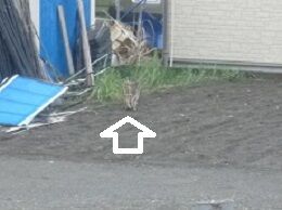 3月25日 (2)