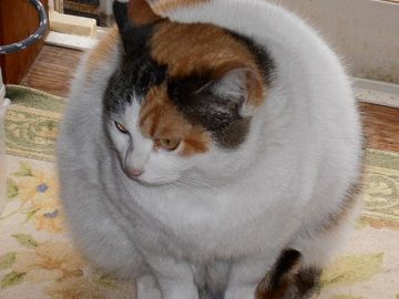 3月7日(15)