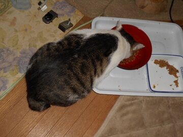 9月27日（18-7）仮