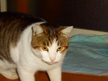 2月3日　21-20-2仮