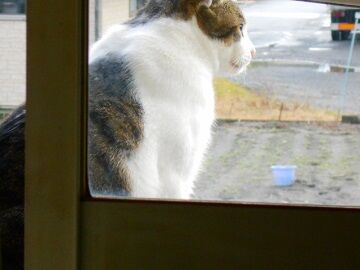 11月24日（8）仮