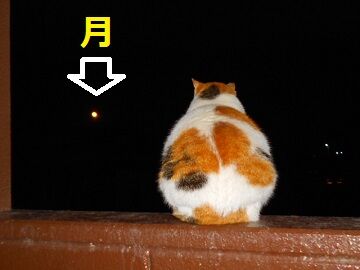 12月13日（32）仮