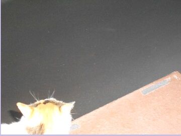 6月26日（20）仮