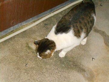 12月2日（18）仮