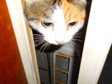 12月12日（24）仮