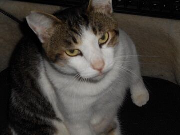 9月23日（9-4）仮