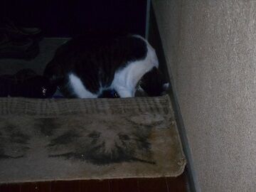 9月24日（23-5）仮