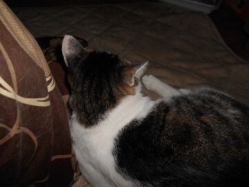 9月7日（20-9）仮