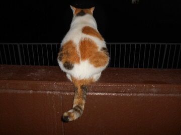 9月8日（19-6）仮