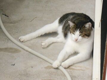 9月11日（13）仮