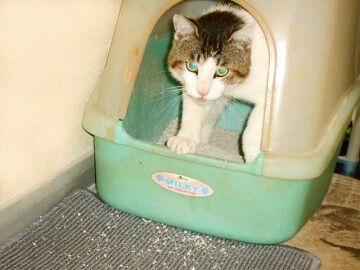 5月19日（30）仮