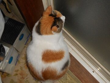 9月21日（3-13）仮