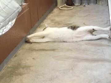 9月30日（6-2）仮