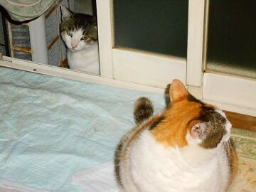 6月22日（21）仮