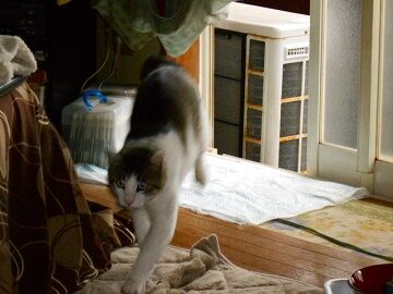 6月22日（15）仮