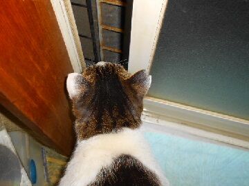 12月24日（46）仮