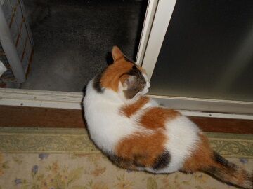 9月26日（20-9）仮