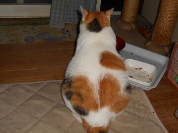 9月13日（5-2）仮