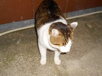 1月22日（64）仮