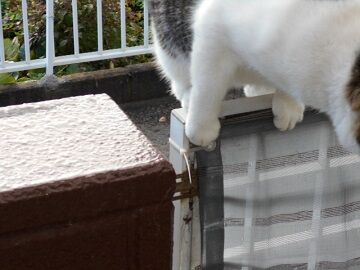 9月11日（7-3）仮