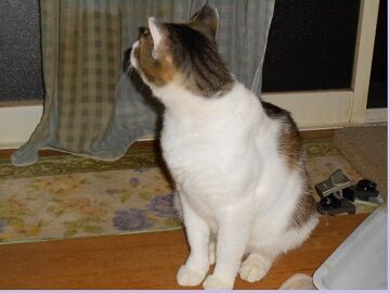 6月14日（69）仮