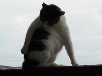 10月2日（15-21）仮