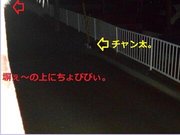 10月20日（52）仮