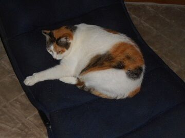 10月1日（5-4）仮