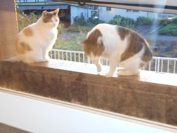 9月30日（5-1）仮