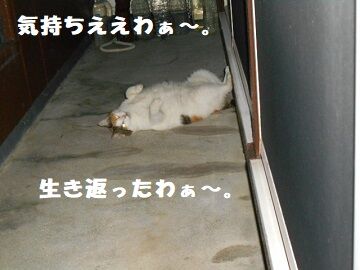 9月24日（19-5）仮