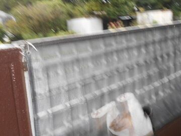 8月23日（33）仮